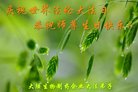 Published on 5/12/2018 ���ֹ�,���ϲӭ���ա�ʮ��ͬ��л���