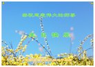 Published on 5/12/2018 ���ֹ�,���ϲӭ���ա�ʮ��ͬ��л���