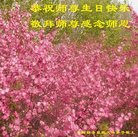 Published on 5/12/2018 ���ֹ�,���ϲӭ���ա�ʮ��ͬ��л���