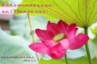 ���ֹ�,ʯ��ׯ�󷨵��ӹ������編�ִ�����ʦ�𻪵�(26��)