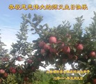 Published on 5/12/2018 ���ֹ�,���󷨵��ӹ������編�ִ�����ʦ�𻪵�(27��)