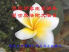 ���ֹ�,�ȷ��󷨵��ӹ������編�ִ�����ʦ�𻪵�(23��)