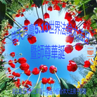 ���ֹ�,�人�󷨵��ӹ������編�ִ�����ʦ�𻪵�(28��)