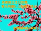 ���ֹ�,�����󷨵��ӹ������編�ִ�����ʦ�𻪵�(24��)