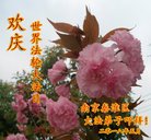 ���ֹ�,���մ󷨵��ӹ������編�ִ�����ʦ�𻪵�(21��)