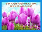 Published on 5/12/2018 ���ֹ�,��½���չ������編�ִ�����ʦ�𻪵�(27��)