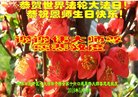 ���ֹ�,�żҿڴ󷨵��ӹ������編�ִ�����ʦ�𻪵�(23��)