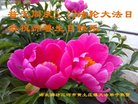 ���ֹ�,�ȷ��󷨵��ӹ������編�ִ�����ʦ�𻪵�(22��)