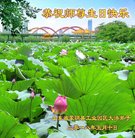 ���ֹ�,���ʴ󷨵��ӹ������編�ִ�����ʦ�𻪵�(25��)