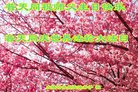Published on 5/12/2018 ���ֹ�,ʦ�𻪵������졡��½���취�����Ӵ󷨵�����ʦ��