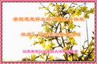 Published on 5/12/2018 ���ֹ�,ʦ�𻪵������졡��½���취�����Ӵ󷨵�����ʦ��