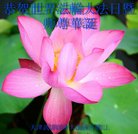 ���ֹ�,���󷨵��ӹ������編�ִ�����ʦ�𻪵�(26��)