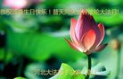 ���ֹ�,�żҿڴ󷨵��ӹ������編�ִ�����ʦ�𻪵�(23��)
