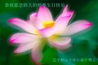 Published on 5/10/2018 ���ֹ�,��С���ӹ������編�ִ�����ʦ�𻪵�(20��)