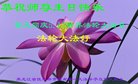 ���ֹ�,��ľ˹�󷨵��ӹ������編�ִ�����ʦ�𻪵�(19��)
