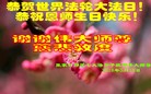 ���ֹ�,�żҿڴ󷨵��ӹ������編�ִ�����ʦ�𻪵�(23��)