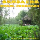 ���ֹ�,����󷨵��ӹ������編�ִ�����ʦ�𻪵�(21��)