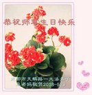 ���ֹ�,�ɶ��󷨵��ӹ������編�ִ�����ʦ�𻪵�(22��)