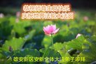 ���ֹ�,�ӱ��󷨵��ӹ������編�ִ�����ʦ�𻪵�(20��)