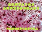 ���ֹ�,�����󷨵��ӹ������編�ִ�����ʦ�𻪵�(19��)