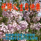 ���ֹ�,�����󷨵��ӹ������編�ִ�����ʦ�𻪵�(20��)