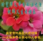 ���ֹ�,�����󷨵��ӹ������編�ִ�����ʦ�𻪵�(20��)