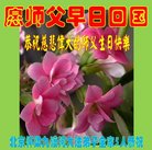 ���ֹ�,�����󷨵��ӹ������編�ִ�����ʦ�𻪵�(20��)