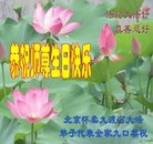 ���ֹ�,�����󷨵��ӹ������編�ִ�����ʦ�𻪵�(20��)