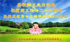 ���ֹ�,�������󷨵��ӹ������編�ִ�����ʦ�𻪵�(20��)