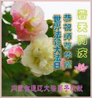 ���ֹ�,���ɹŴ󷨵��ӹ������編�ִ�����ʦ�𻪵�(22��)