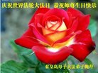 ���ֹ�,�ػʵ��󷨵��ӹ������編�ִ�����ʦ�𻪵�(18��)