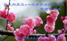���ֹ�,��ɽ�󷨵��ӹ������編�ִ�����ʦ�𻪵�(23��)