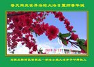 ���ֹ�,ʯ��ׯ�󷨵��ӹ������編�ִ�����ʦ�𻪵�(20��)