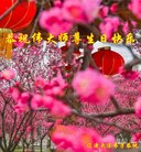 ���ֹ�,����ʡ�󷨵��ӹ������編�ִ�����ʦ�𻪵�(21��)