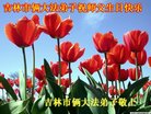 Published on 5/13/2018 ���ֹ�,��½�󷨵��ӹ������編�ִ�����ʦ�𻪵�(37��)