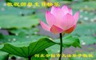 ���ֹ�,�����󷨵��ӹ������編�ִ�����ʦ�𻪵�(22��)