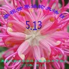 ���ֹ�,�������󷨵��ӹ������編�ִ�����ʦ�𻪵�(20��)