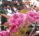 ���ֹ�,�����󷨵��ӹ������編�ִ�����ʦ�𻪵�(19��)