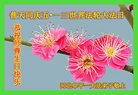 ���ֹ�,�ӱ��󷨵��ӹ������編�ִ�����ʦ�𻪵�(18��)