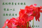 ���ֹ�,�ػʵ��󷨵��ӹ������編�ִ�����ʦ�𻪵�(18��)