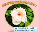Published on 5/8/2018 ���ֹ�,���󷨵��ӹ������編�ִ�����ʦ�𻪵�(22��)