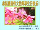 Published on 5/8/2018 ���ֹ�,���󷨵��ӹ������編�ִ�����ʦ�𻪵�(22��)