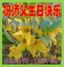 ���ֹ�,�����󷨵��ӹ������編�ִ�����ʦ�𻪵�(20��)