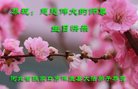 ���ֹ�,�żҿڴ󷨵��ӹ������編�ִ�����ʦ�𻪵�(20��)