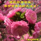 ���ֹ�,�����󷨵��ӹ������編�ִ�����ʦ�𻪵�(25��)