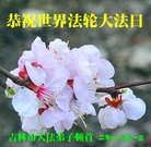 ���ֹ�,�����д󷨵��ӹ������編�ִ�����ʦ�𻪵�(21��)