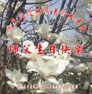 ���ֹ�,�����󷨵��ӹ������編�ִ�����ʦ�𻪵�(22��)