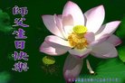 ���ֹ�,�żҿڴ󷨵��ӹ������編�ִ�����ʦ�𻪵�(19��)