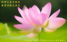 ���ֹ�,�żҿڴ󷨵��ӹ������編�ִ�����ʦ�𻪵�(21��)