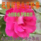 ���ֹ�,�����󷨵��ӹ������編�ִ�����ʦ�𻪵�(21��)